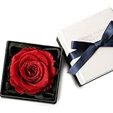 MAKEFUTURE Diamond Rose 9 プリザーブドフラワー フラワーボックス ダイヤモンドローズ アモローサ (ブライトレッド)