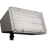 Lithonia Lighting FP213L 120 M12 13W Compact Fluorescent Flood Light, Bronze [並行輸入品]
