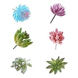 Dovewill 6個　人工植物　楽しい　鑑賞　シミュレーション多肉植物　DIY