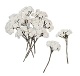 Darice b3573 – 29リボンローズ、1 / 2インチ、クリーム、144-pack