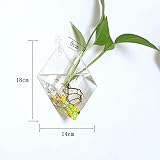 ガラス 花瓶壁掛の室内の植物のセットガラスのプランターの家の装飾の生活のインテリア クリスタル 壁 ガーデニング (18 * 5 * 14cm 四角形)