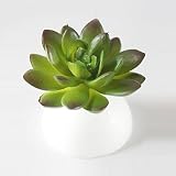 人工プラスチックミニチュア多肉植物植物、WoopowerキュートLifelikeシミュレーション花のホームデコレーション グリーン
