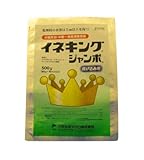 イネキングジャンボ500g1箱（10入）