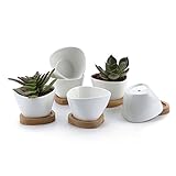 T4U 8CM 陶器鉢 白 不規則三角形デザイン 植木鉢 多肉植物 サボテン鉢 竹トレイ付き 6個入り