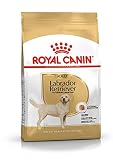 ロイヤルカナン BHN ラブラドールレトリバー 成犬・高齢犬用 3kg