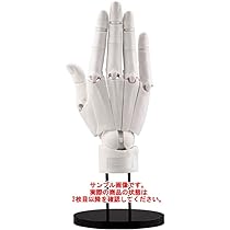 Amazon.co.jp: コトブキヤARTIST SUPPORT ITEM ハンドモデル R WHITE 