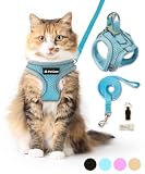 (シリーズ累計2万個突破) Petiam 猫 ハーネス リード 猫用 抜けない ダブルロック リードセット 迷子札付き お散歩セット (ブルー, M)