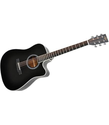 Amazon | PLAYTECH (プレイテック) アコースティックギター ドレッド