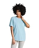 (コンフォート・カラーズ) Comfort Colours ユニセックス 無地 半袖 Tシャツ (S) (シャンブレー)