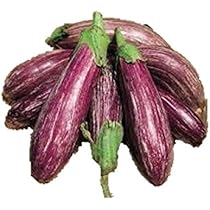 41g8s8eTjfL._AC_UL210_SR210,