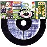 FOREST 虫よけしきわらいらず 2枚入 ×2セット