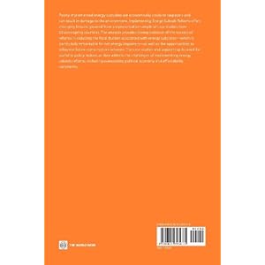 Implementing Energy Subsidy Reforms: Evidence from Developing Countries (Directions in Development: Energy and Mining)