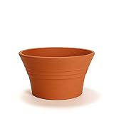 鉢 KANEYOSHI 【日本製/三河焼】 陶器 植木鉢 ビオラ 赤焼 8号