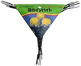 渡辺泰 菊のインバイド 5個入 黒