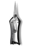 播州刃物 田中義一(Yoshikazu Tanaka) 作 両刃芽切鋏 180mm / Banshu Hamono Burgeon Shears (double-edged) 180mm
