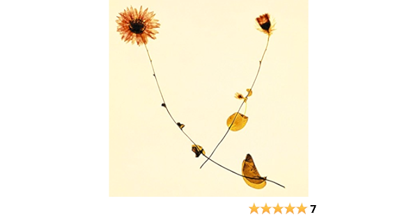 Amazon Music 川村結花のエチュード 春盤 Amazon Co Jp