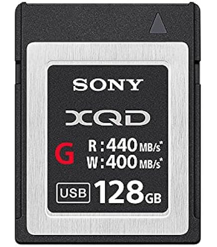 Lexar Professional 2933x XQD 2.0カード 64GB Lexar Professional 2933x XQD 2.0カード 64GB