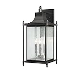 Savoy House 5-3453-BK Outdoor Sconce with Clear Seeded Shades, Black Finish [並行輸入品]