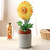 シンプルプランター　観葉植物を育てよう♪