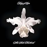 Aha Shake Heartbreak [12 inch Analog]