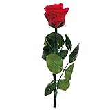 ショートステムローズ チェリーレッド 165-51021-5