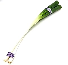 埼玉・栃木産など 長ねぎ【2本】1束