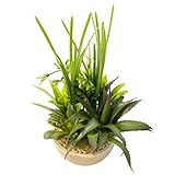 人工多肉植物 プラスチック製の多肉植物 人工観葉植物 可愛いミニ造花 人工盆栽 いい贈り物　鉢セット 植木鉢付き