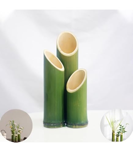 花入2点 花入2点 Amazon.co.jp: 竹花器花入れまとめて2点花瓶壷竹細工寸胴寸筒竹器