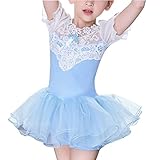 Zhhlaixing 高品質の Little Grils Summer Tutu Dancewear Kids Ballet Lace Dance Dress 3 Colors