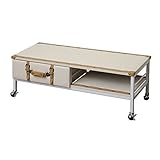 BBファニシング テレビ台 CUARO ホワイト 幅100×奥行38×高さ36cm CUTB-100WH CUTB-100WH