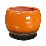 インテリアポット ドルチェ 20cm オレンジ ／植木鉢