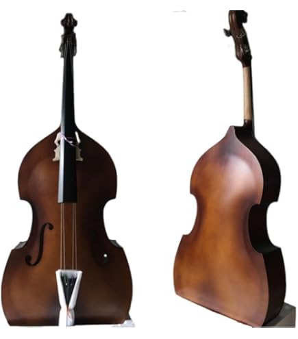 Amazon.co.jp: 長渕剛愛用 Takamine エレアコPT106 純正ハードケース付