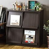 SINAPP ディスプレイラック 木製 収納 本棚 棚 2段 4マス 6マス SIK1127 2列タイプ