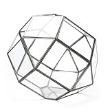 ポリへドロン テラリウム Lサイズ Polyhedron Terrarium “L”