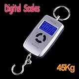 45 キログラム倍精度デジタル電子釣り フック スケール 、 を 、 ドロップシッピング