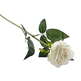 ベルベット人工フェイク、人工シルクローズフラワーBouquetsや結婚式、バレンタイン、花輪、&クラフト、Single Stem by Royal Imports ( 1ダース) 30 " Long 