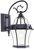 Livex Lighting 2620-07 Outdoor Wall Lantern with Clear Beveled Glass Shades, Bronze [並行輸入品]