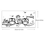 DIY Wall Sticker, FTXJ Vivid Removable Kids Vinyl Art Cartoon Owl Butterfly Wall Sticker Decor Home 