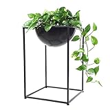 Plant shelf アイロンフラワーラック、リビングルームフラワーポットラックバルコニー盆栽フレームプラントディスプレイスタンド Flower racks ( 色 : ブラック , サイズ さいず