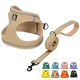 BELLA & PAL 犬用 ハーネス リード セット 小型犬 超小型犬 猫用ハーネス 胴輪 引っ張り防止 サイズ調整可能 夜間反射 脱着簡単 耐久性 通気性 ソフト メッシュ (カーキ, M)