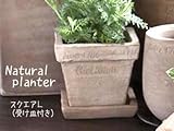 鉢 植木鉢 おしゃれ 素焼き鉢 テラコッタ 陶器 アンティーク 主張しすぎないシンプルさがマスト 【ナチュラルプランタ-mini:スクエアL(受け皿付き)】