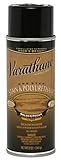 Rust-Oleum 243863 Varathane Stain and Polyurethane Spray, Golden Pecan [並行輸入品]