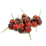 ALEKO 20 afchbl装飾リアルな人工フルーツ – 20のパッケージブラックCherries