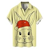 トレーニングT-シャツ ショートスリーブ ジム トレーニング 部屋着 スポーツ ドライ ハイクオリティー 超速乾 ゴルフ ジムウェア メンズ