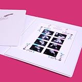 超音波写真アルバム【フラワー】ベーシック「お仕立券」