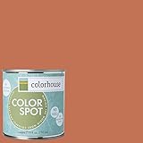 Inspired Eggshell Interior Colorspot Paint Sample, Clay .07, 8-oz [並行輸入品]