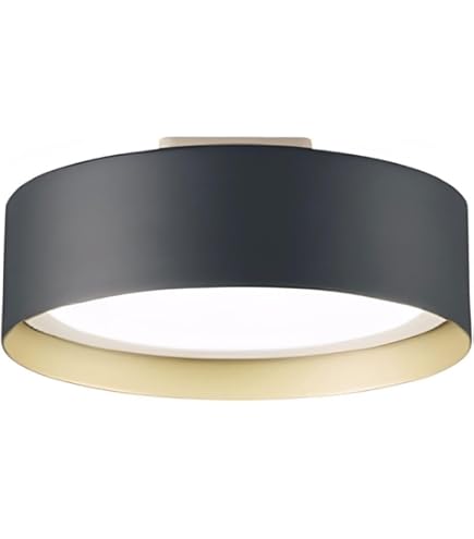 Amazon | 大光電機 DAIKO LEDシーリングライト 間接配光切替 タイマー