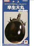 なす 種 【 早生大丸 】 種子 小袋（約90粒）