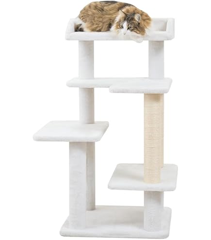 Amazon | Mauタワー ゴールドクレエ | Mau | キャットタワー 通販