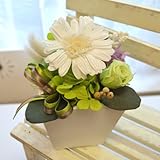 プリザーブドフラワー ギフト　ガーベラポット　[CANDY] (ホワイト)